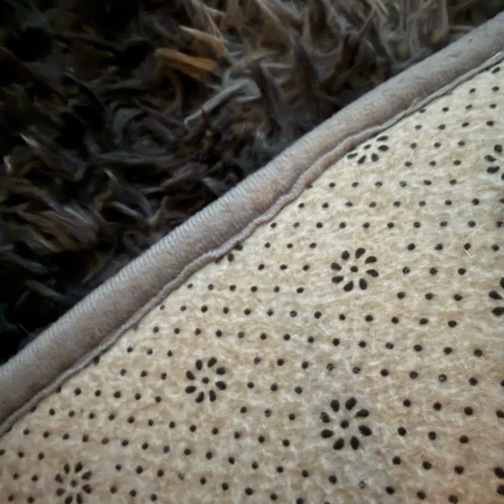 Safavieh Gray and Black Shag Area Rug, 6x9 - Picture 5 of 8